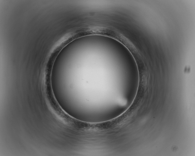 X0000096730730200802051439