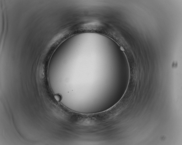 X0000096730731200802051439