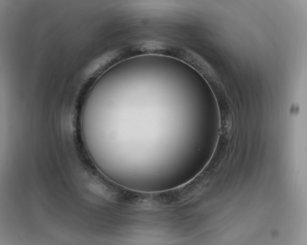 X0000096730732200802051440