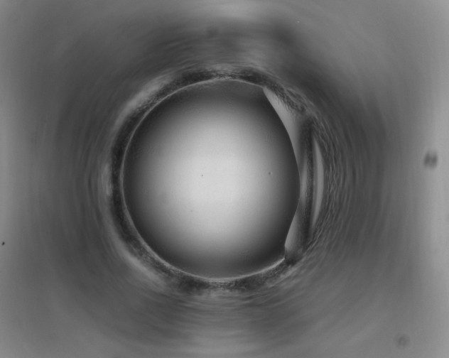 X0000096730734200802051440