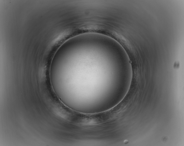 X0000096730735200802051440