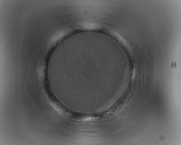 X0000096730736200802051440