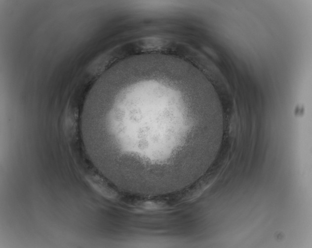 X0000096730737200802051440