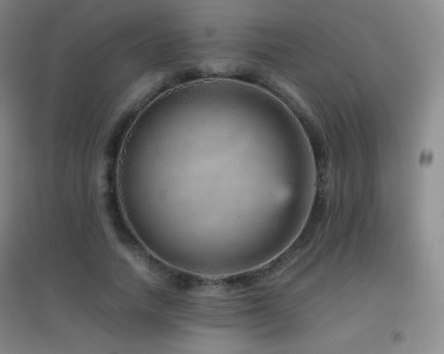 X0000096730738200802051440