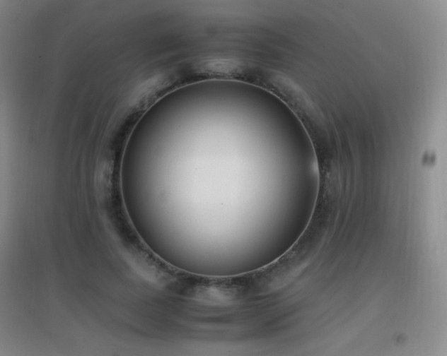 X0000096730739200802051440