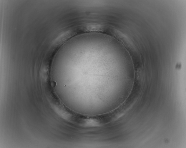 X0000096730741200802051440