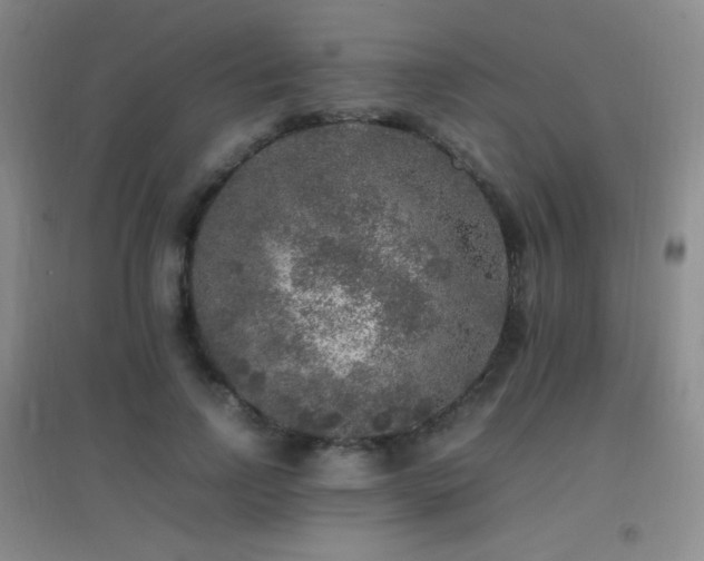 X0000096730742200802051440