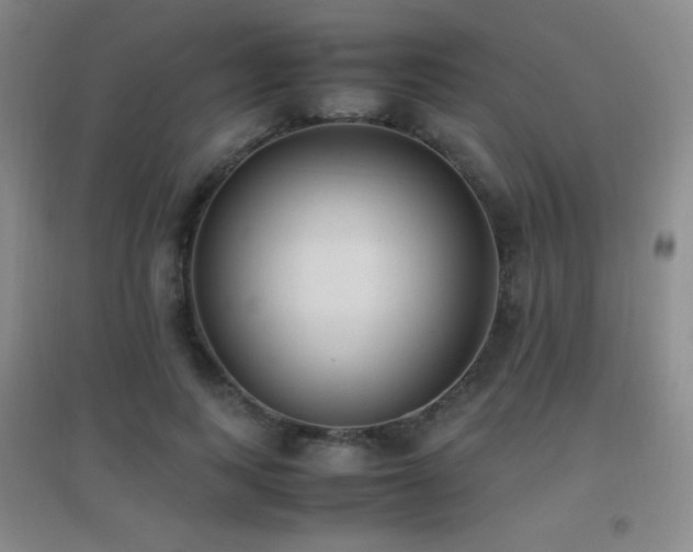 X0000096730743200802051440