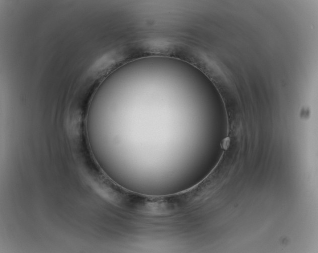 X0000096730744200802051440