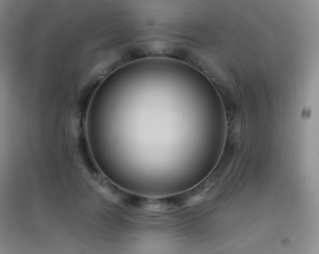 X0000096730746200802051440