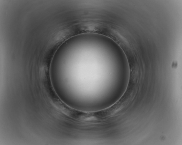 X0000096730747200802051440