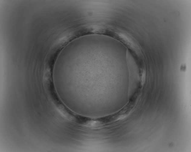 X0000096730748200802051440