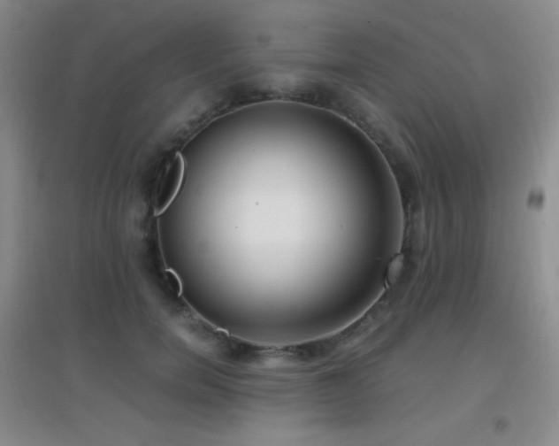 X0000096730750200802051440