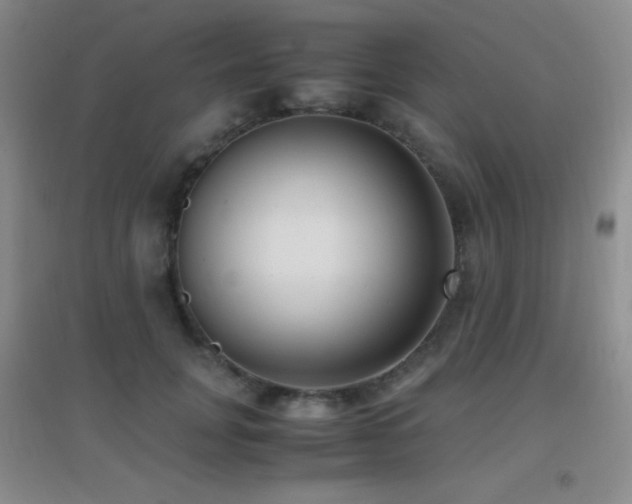 X0000096730751200802051440
