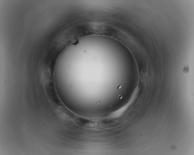 X0000096730752200802051440