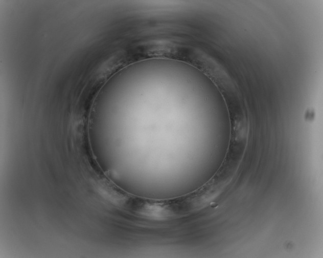X0000096730753200802051440