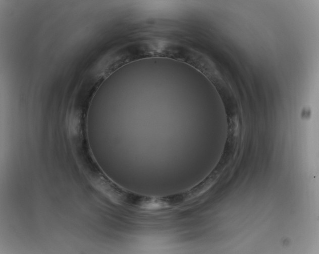 X0000096730754200802051440