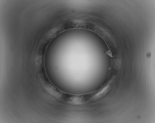 X0000096730756200802051440
