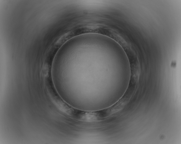 X0000096730758200802051440