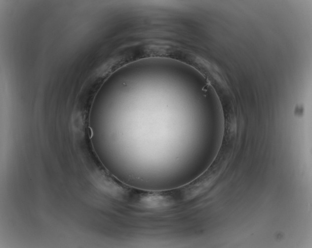 X0000096730759200802051440