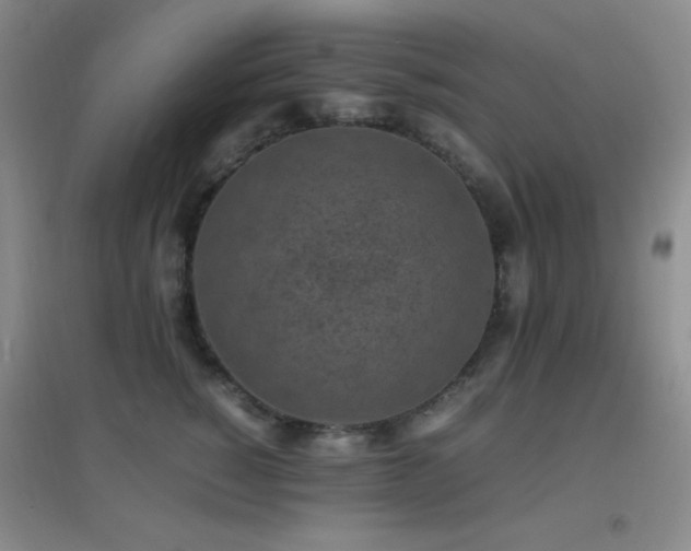 X0000096730760200802051440