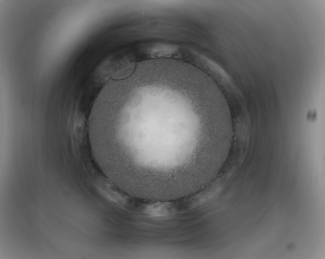 X0000096730761200802051440