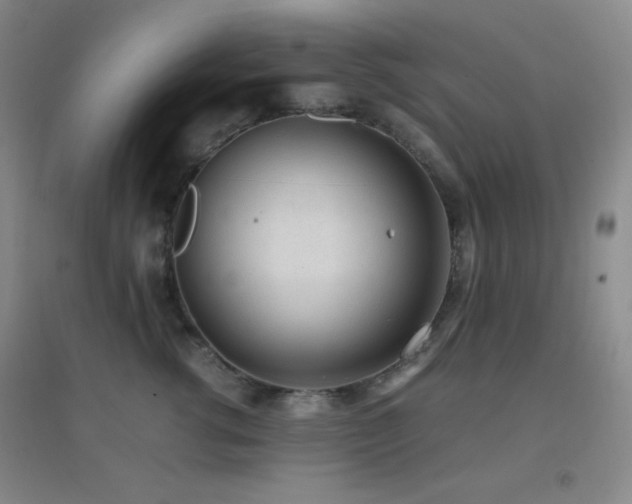 X0000096730762200802051440