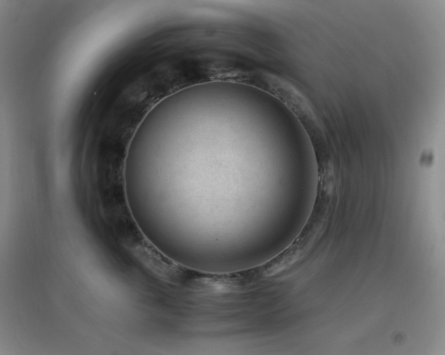 X0000096730763200802051440