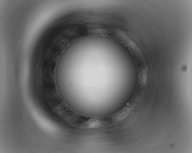 X0000096730764200802051440