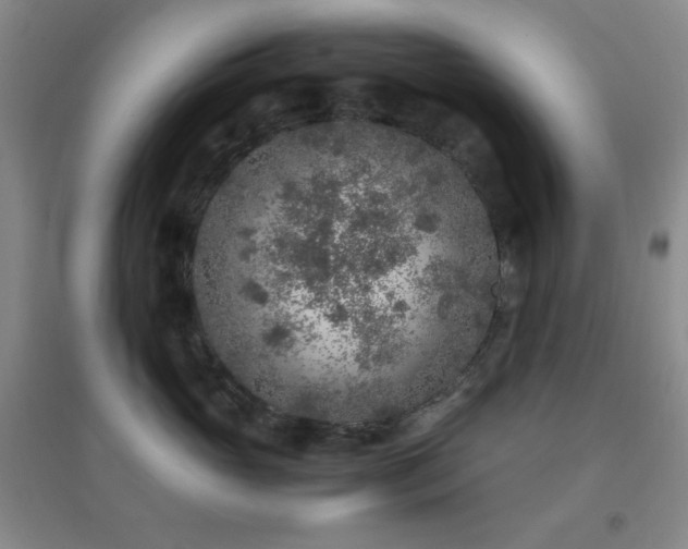 X0000096730765200802051440
