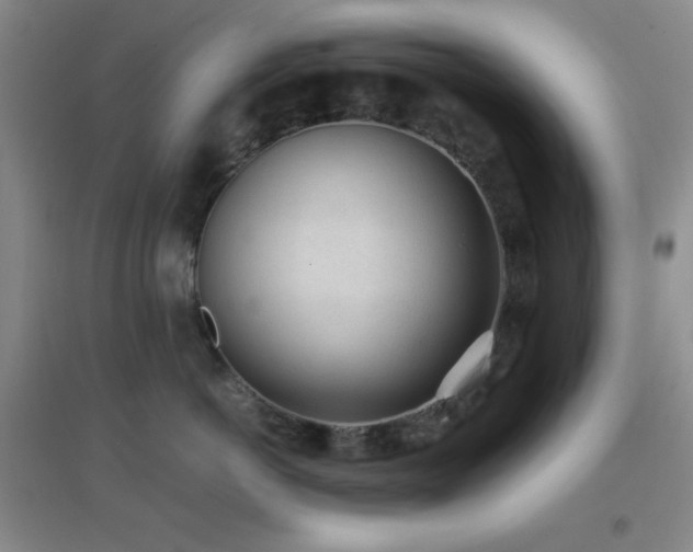 X0000096730766200802051440