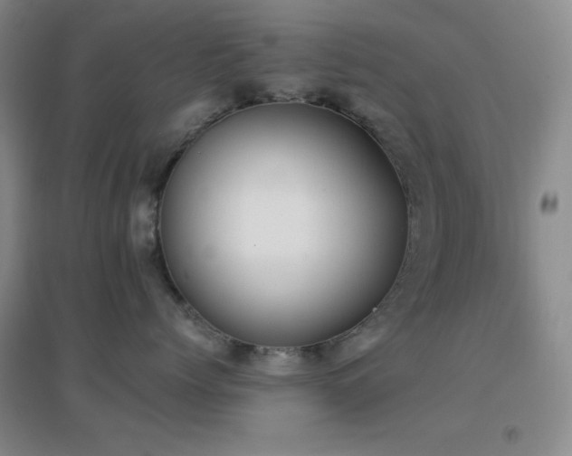 X0000096730768200802051440