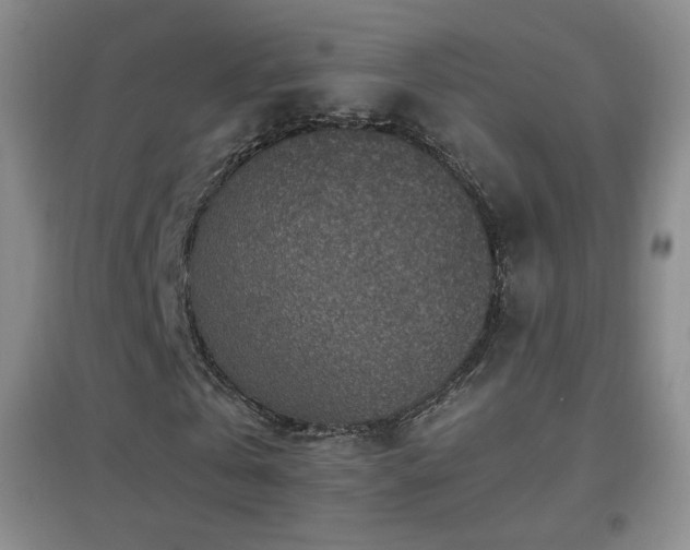 X0000096730769200802051439