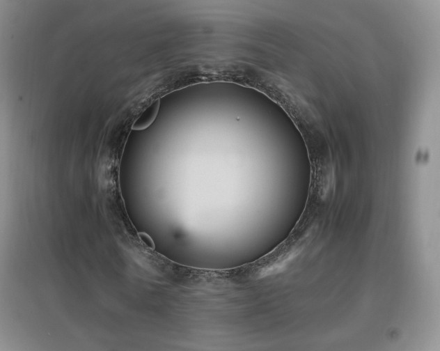 X0000096730770200802051439