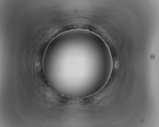 X0000096730771200802051439