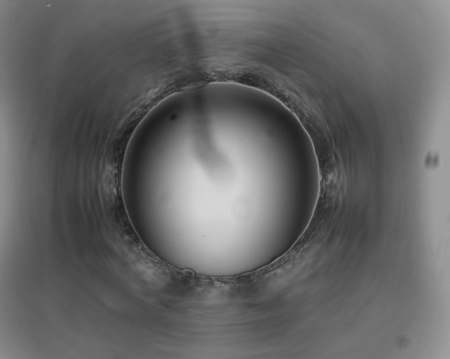 X0000096730772200802051439