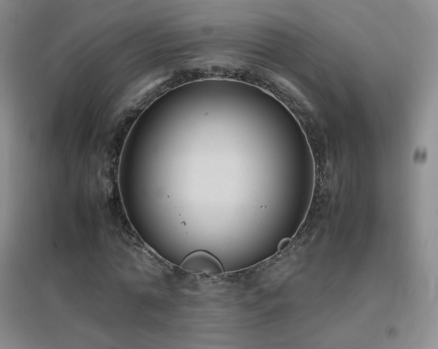 X0000096730774200802051439