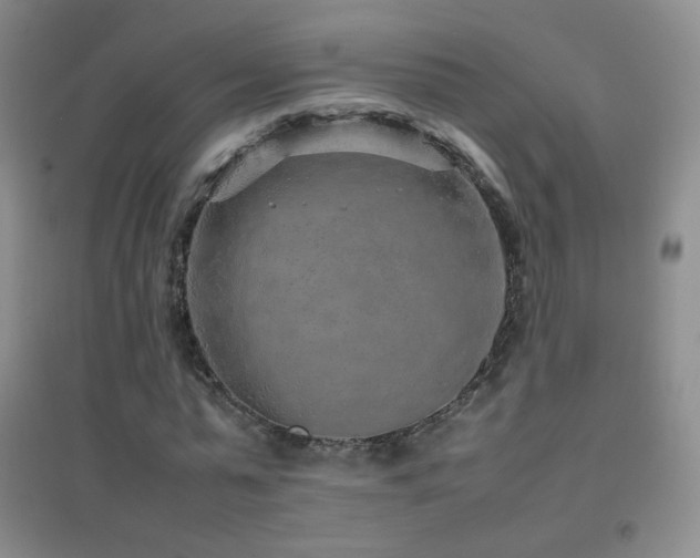 X0000096730775200802051439