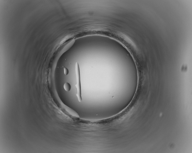 X0000096730777200802051439
