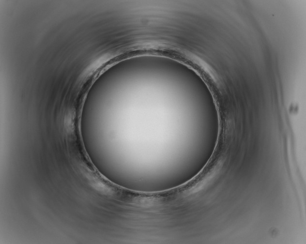 X0000096730778200802051439