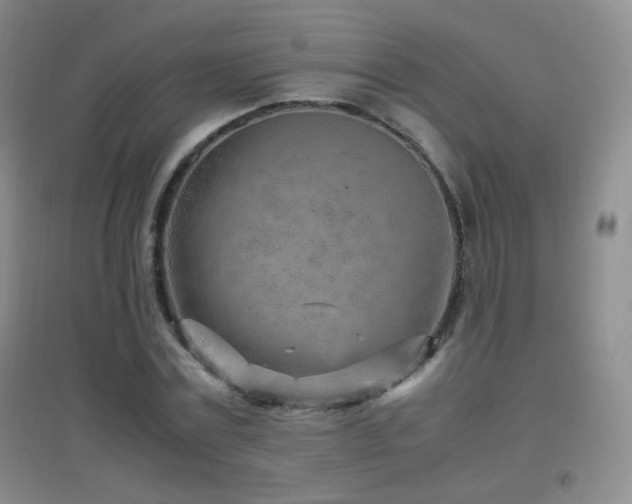 X0000096730779200802051439