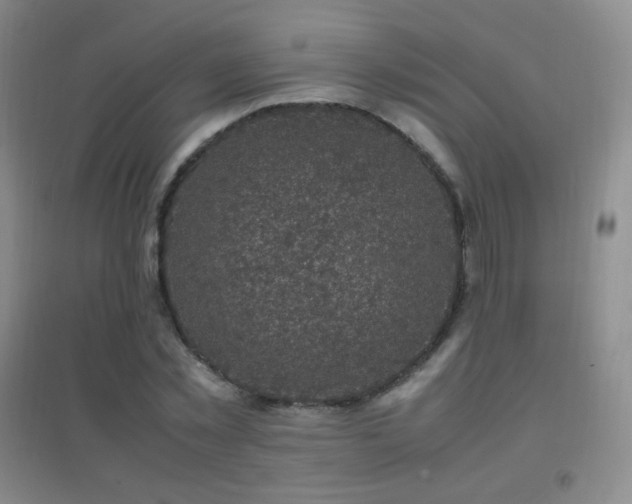 X0000096730781200802051439