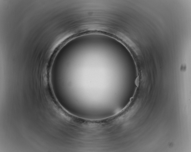 X0000096730782200802051439