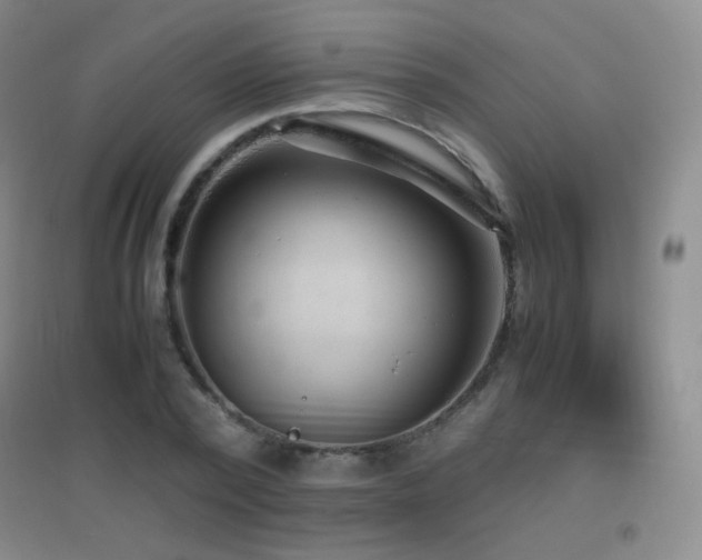 X0000096730784200802051439