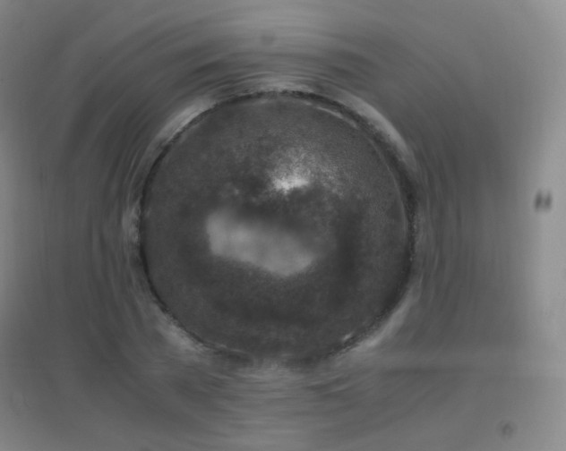 X0000096730785200802051439