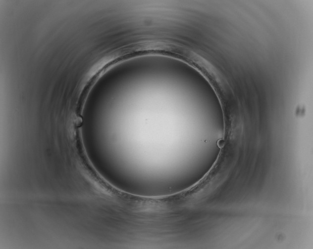 X0000096730786200802051439