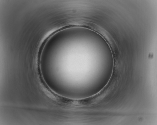 X0000096730787200802051439