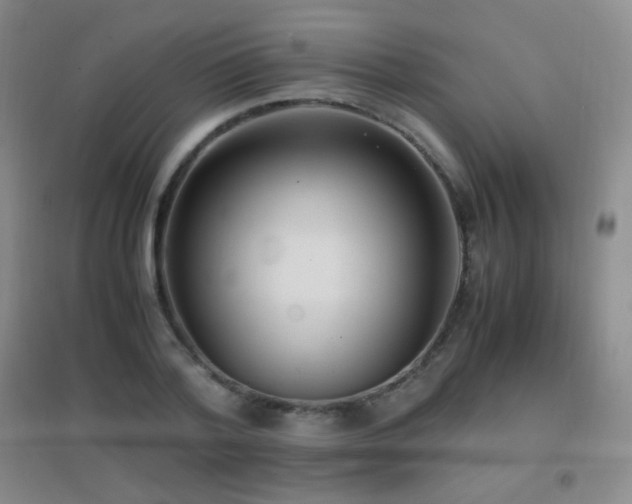 X0000096730788200802051439