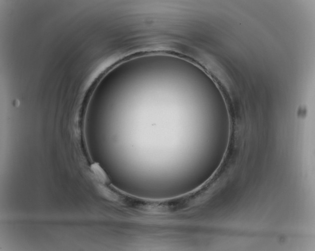 X0000096730789200802051439
