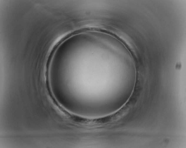 X0000096730791200802051439